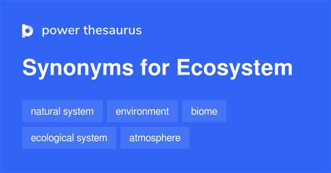 synonym ecommerce|ecosystem synonym.
